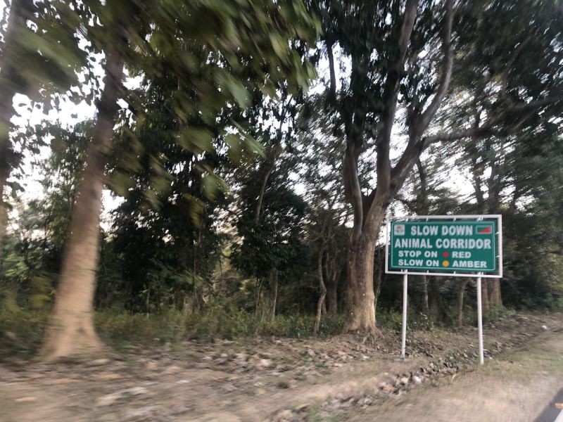 A signage urging vehicles to slow down near an animal corridor is seen along the NH-37 passing the Kaziranga National Park in this photo taken February 16, 2022. Animal corridors are demarcated to ensure safe passage for animals. (Morung File Photo)